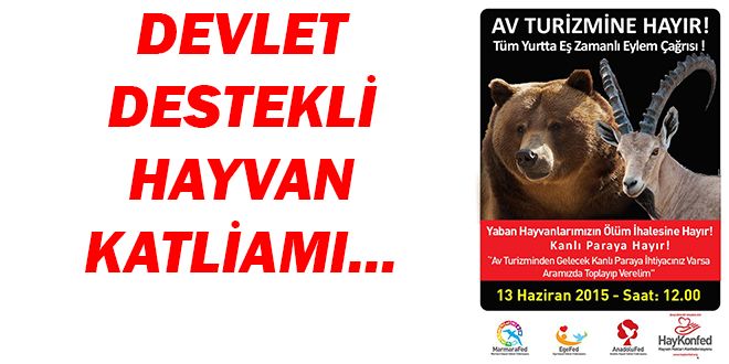 DEVLET DESTEKLY HAYVAN KATLYAMI