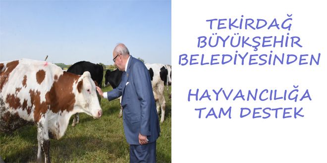 TEKYRDA? BYK?EHYR BELEDYYESYNDEN HAYVANCILI?A TAM DESTEK