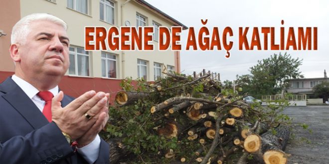 ERGENE DE A?A KATLYAMI