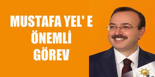 MUSTAFA YEL' E NEMLY GREV