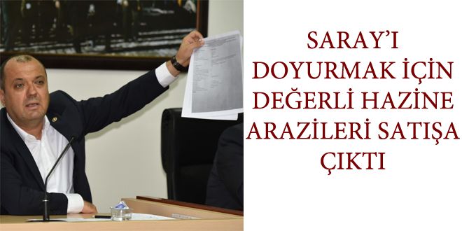 SARAYI DOYURMAK YYN DE?ERLY HAZYNE ARAZYLERY SATI?A IKTI