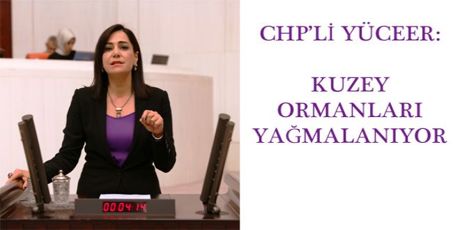 CHPLY YCEER: KUZEY ORMANLARI YA?MALANIYOR