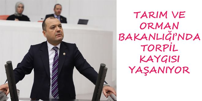 TARIM VE ORMAN BAKANLI?INDA TORPYL  KAYGISI YA?ANIYOR