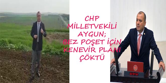 CHP MYLLETVEKYLY AYGUN; BEZ PO?ET YYN KENEVYR PLANI KT