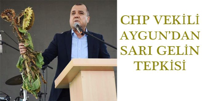 CHP VEKYLY AYGUNDAN SARI GELYN TEPKYSY