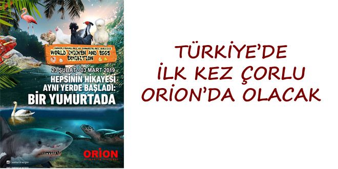 TRKYYEDE YLK KEZ ORLU ORYONDA OLACAK