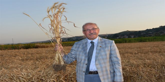 TEKYRDA?DA HASAT BAYRAMI CO?KUSU BA?LIYOR