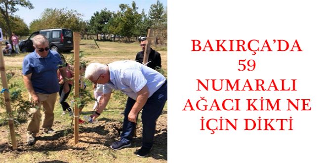 BAKIRADA 59 NUMARALI A?ACI KYM NE YYN DYKTY